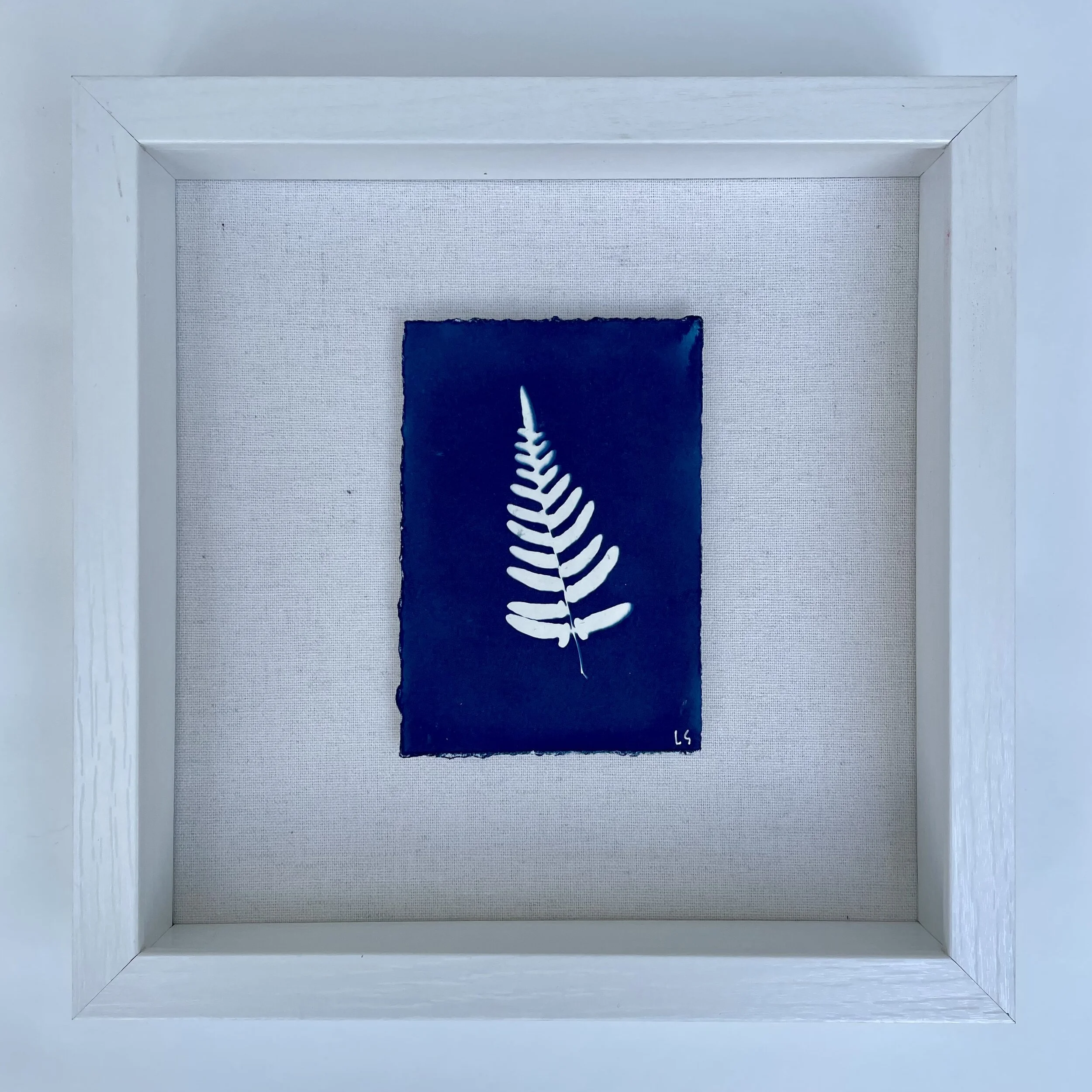 Liza Snyder Art-Shadowbox Botanical Cyanotypes